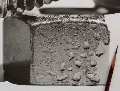 Japon sanatçının her an canlanacakmış gibi duran kurşun kalem çizimleri - 5