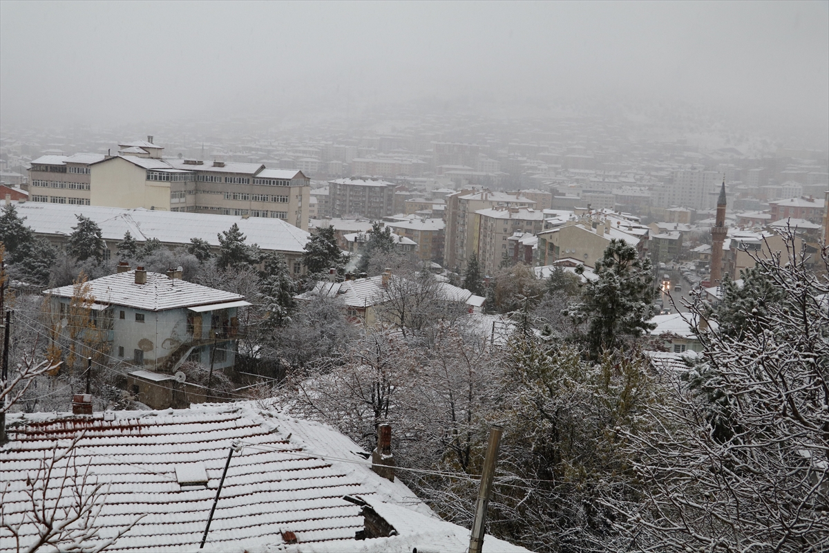 Türkiye'den kar manzaraları - 0