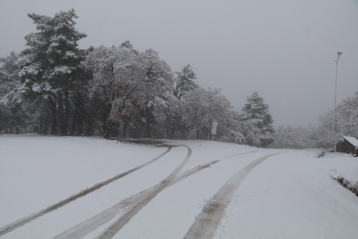 Türkiye'den kar manzaraları - 0