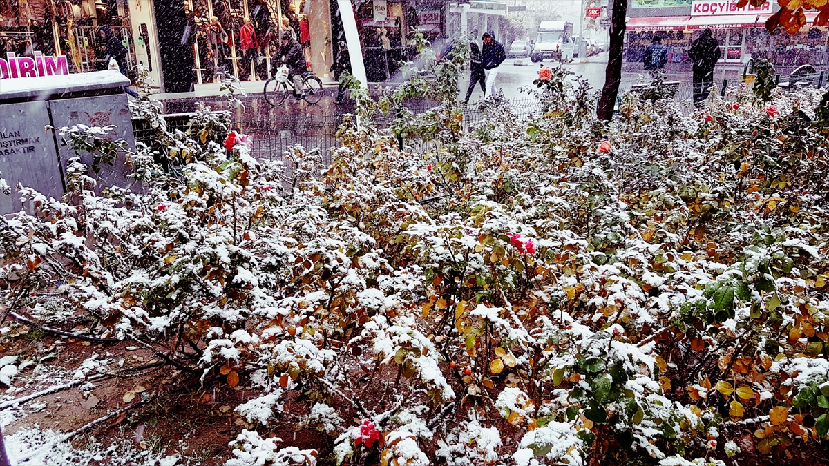 Türkiye'den kar manzaraları - 0