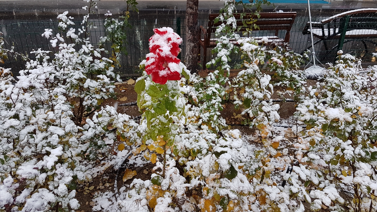 Türkiye'den kar manzaraları - 0