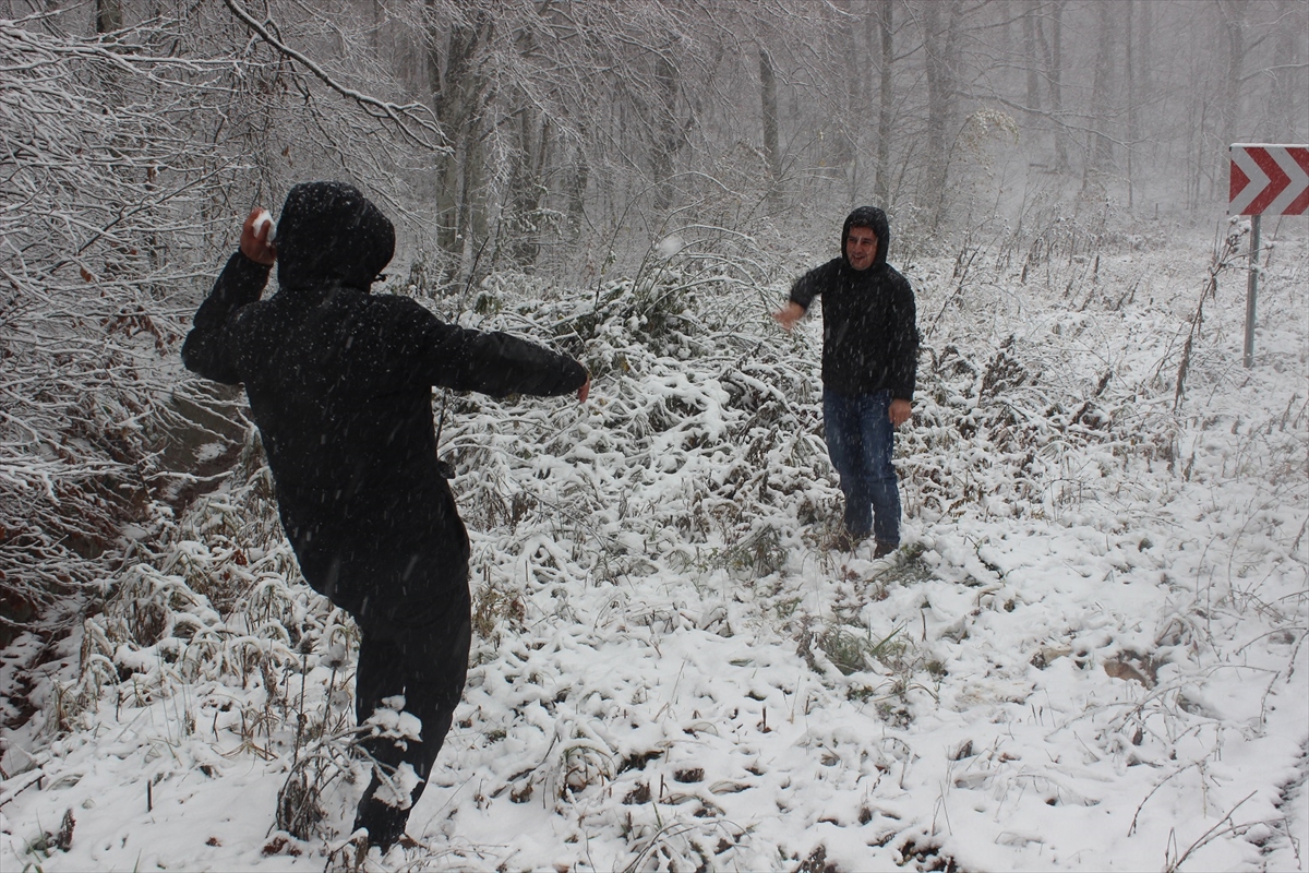 Türkiye'den kar manzaraları - 0