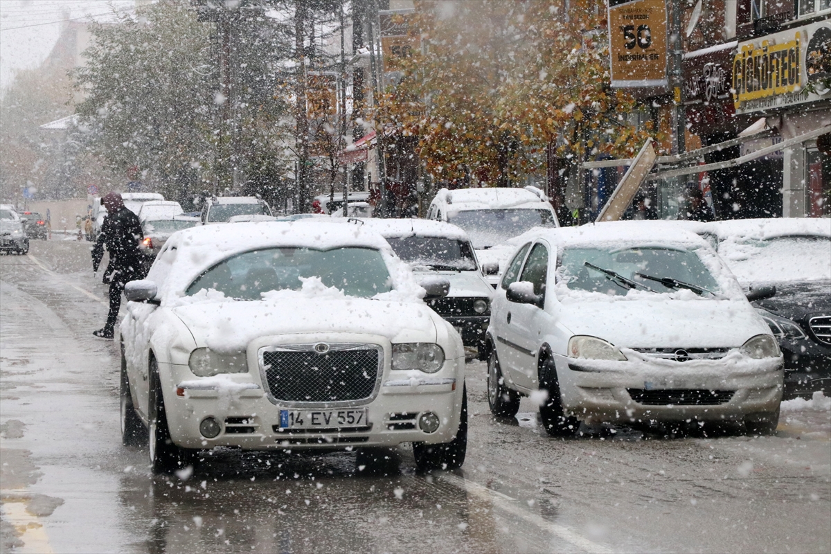 Türkiye'den kar manzaraları - 0