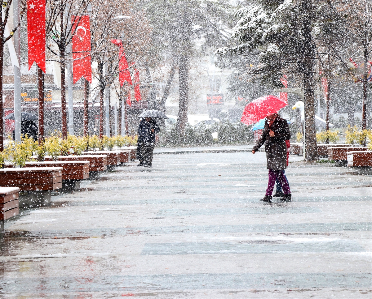 Türkiye'den kar manzaraları - 0