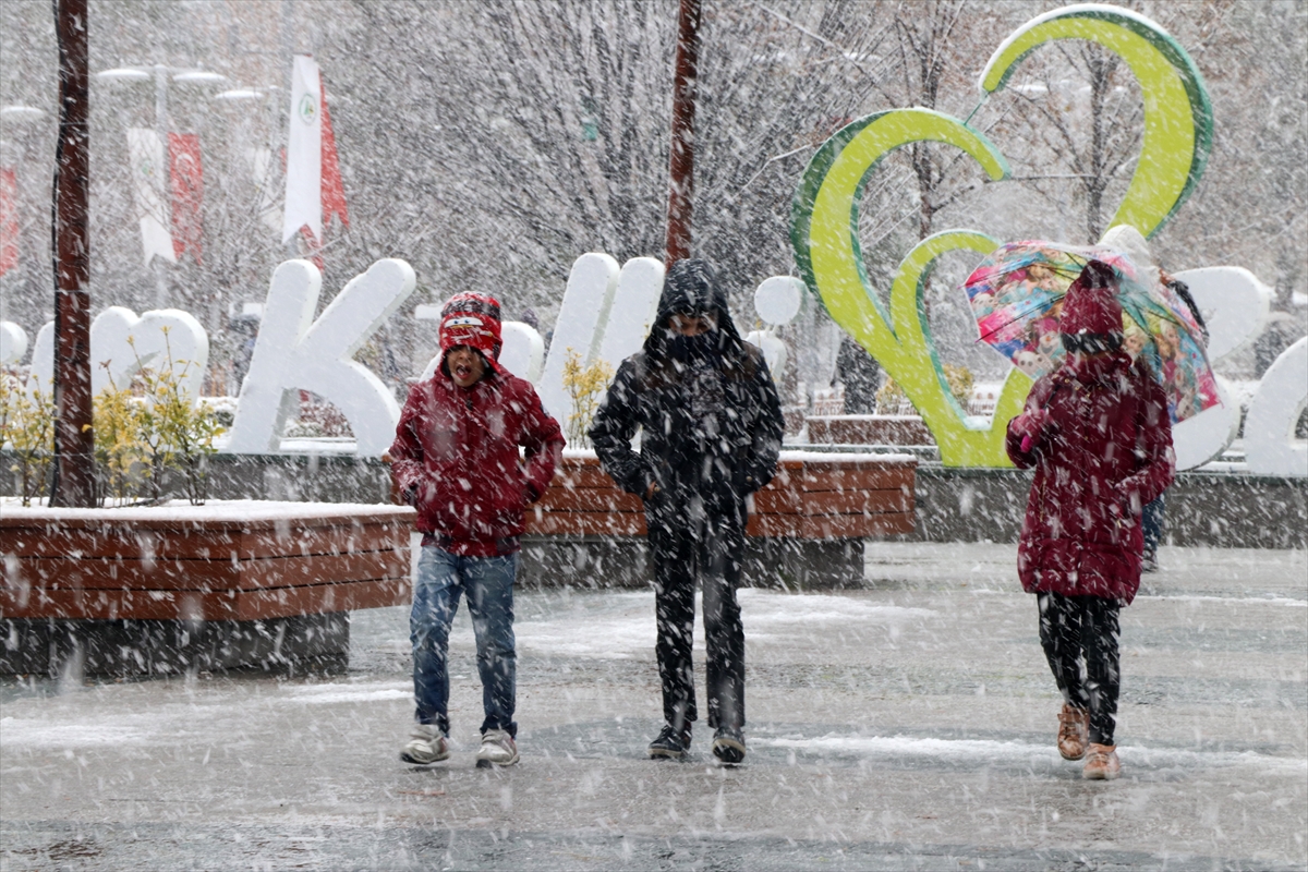 Türkiye'den kar manzaraları - 0
