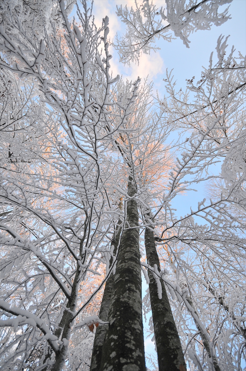 Türkiye'den kar manzaraları - 0