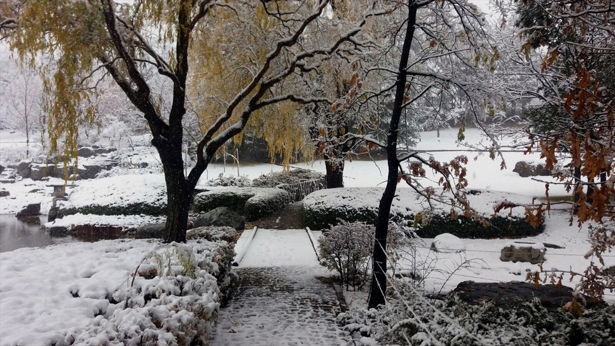 Türkiye'den kar manzaraları - 0