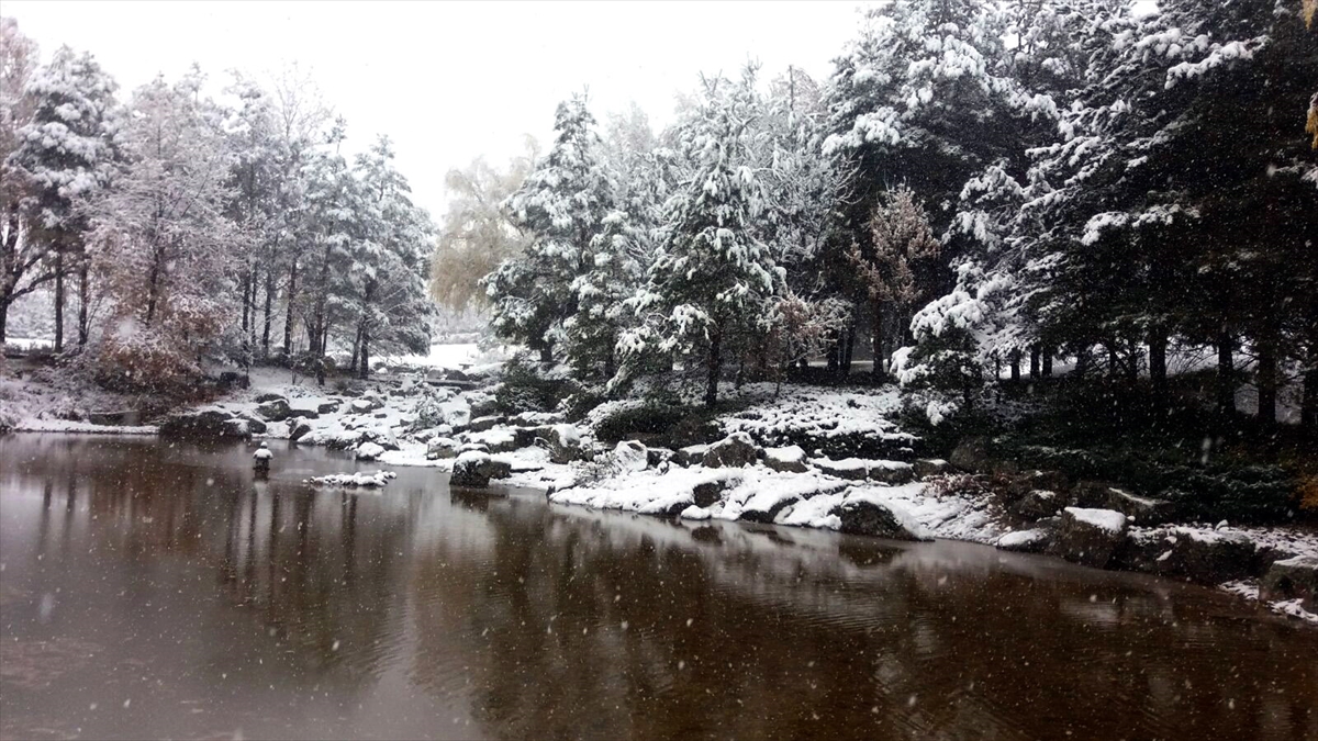 Türkiye'den kar manzaraları - 0