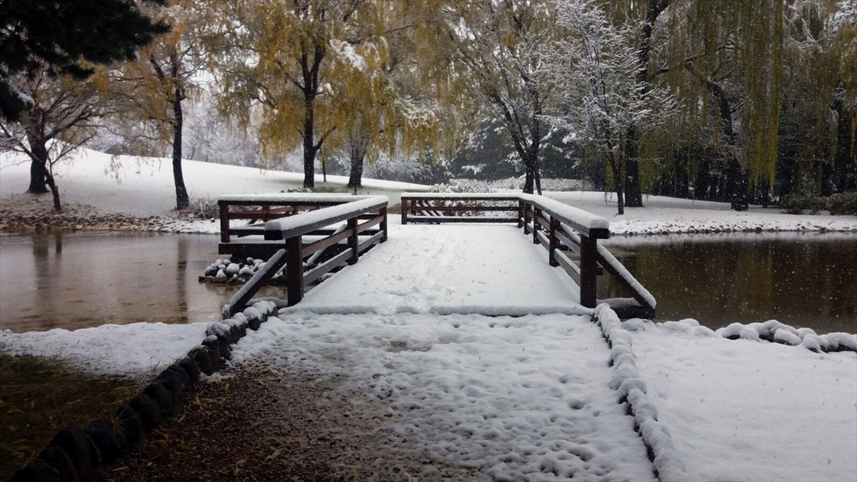 Türkiye'den kar manzaraları - 0