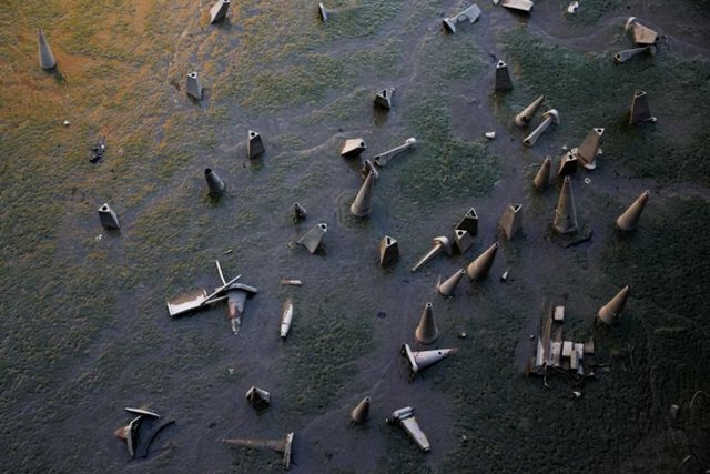 Reuters'dan yılın en iyi fotoğrafları - 0