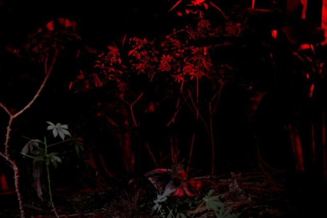 Reuters'dan yılın en iyi fotoğrafları - 0