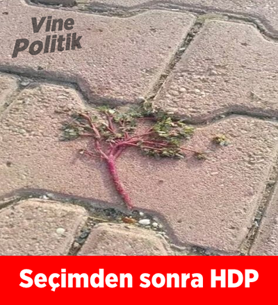 1 Kasım seçimine damga vuran Caps'ler - 18