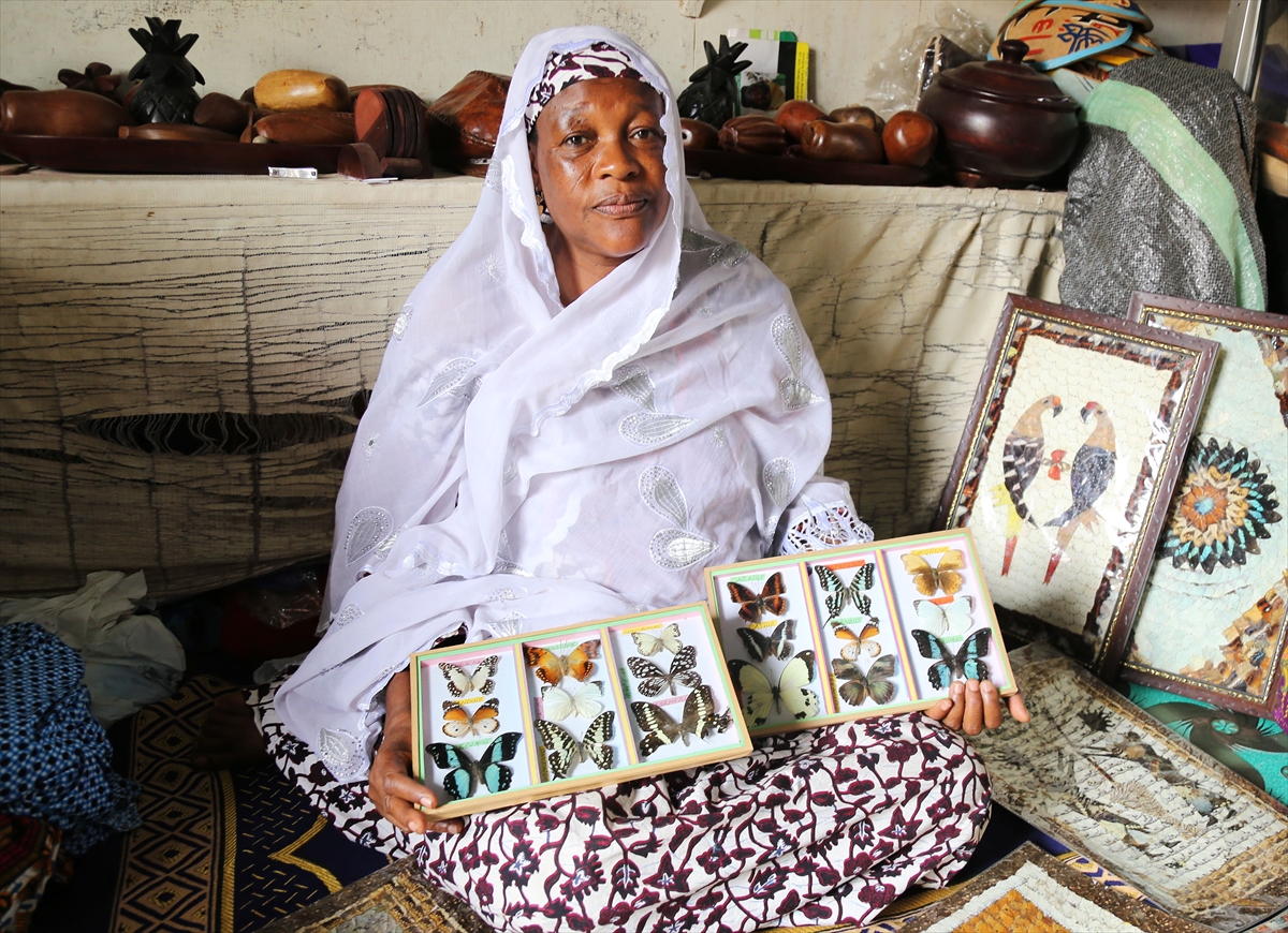 Ölü kelebeklerin kanatlarını sanata dönüştürüyorlar - 0