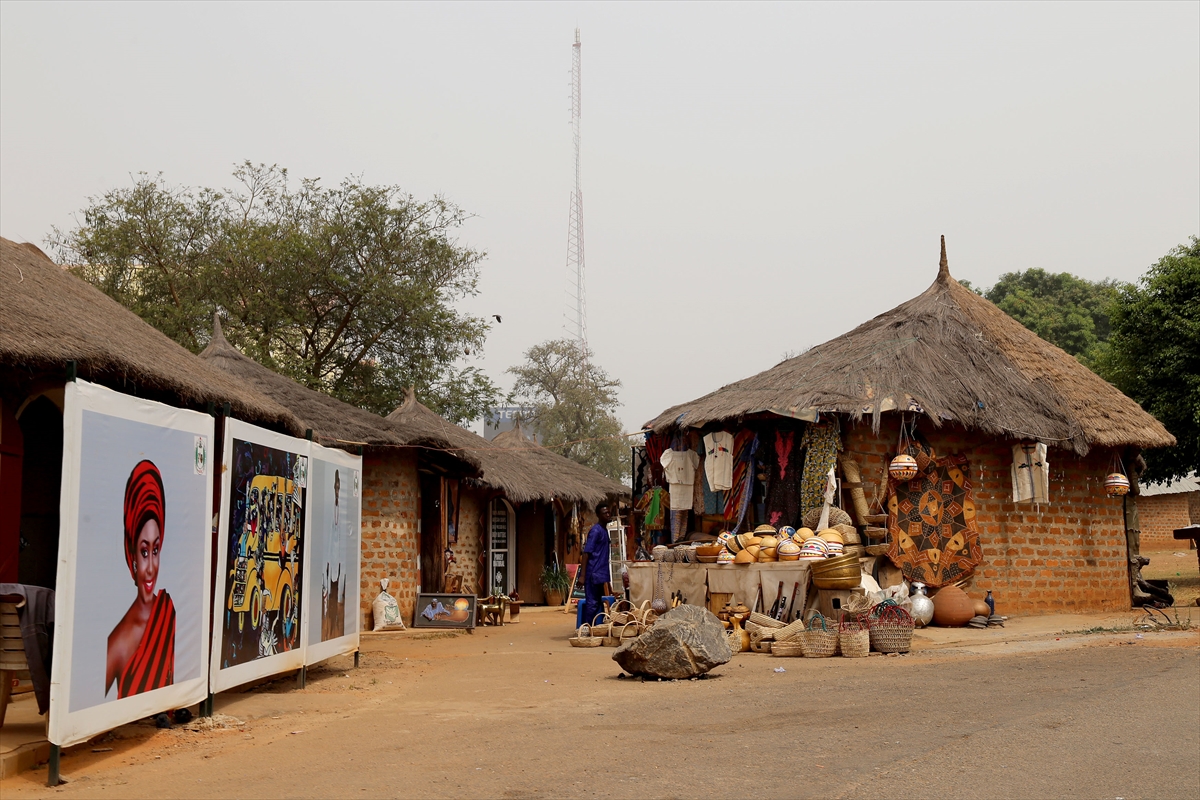 Ölü kelebeklerin kanatlarını sanata dönüştürüyorlar - 0