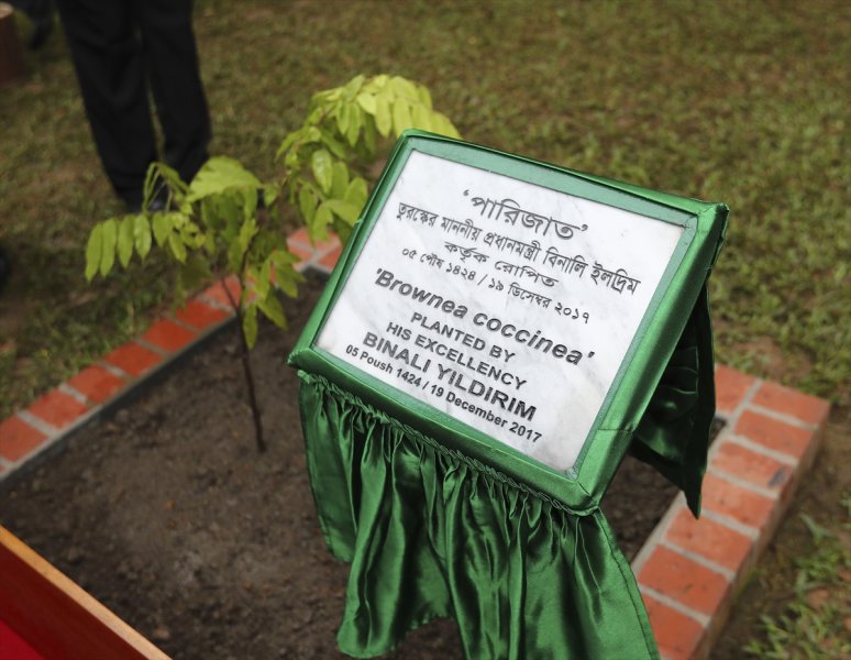 Başbakan Yıldırım Bangladeş'te - 7