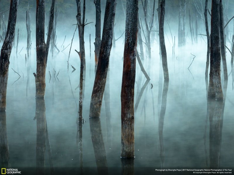 İşte yılın en iyi doğa fotoğrafları - 0