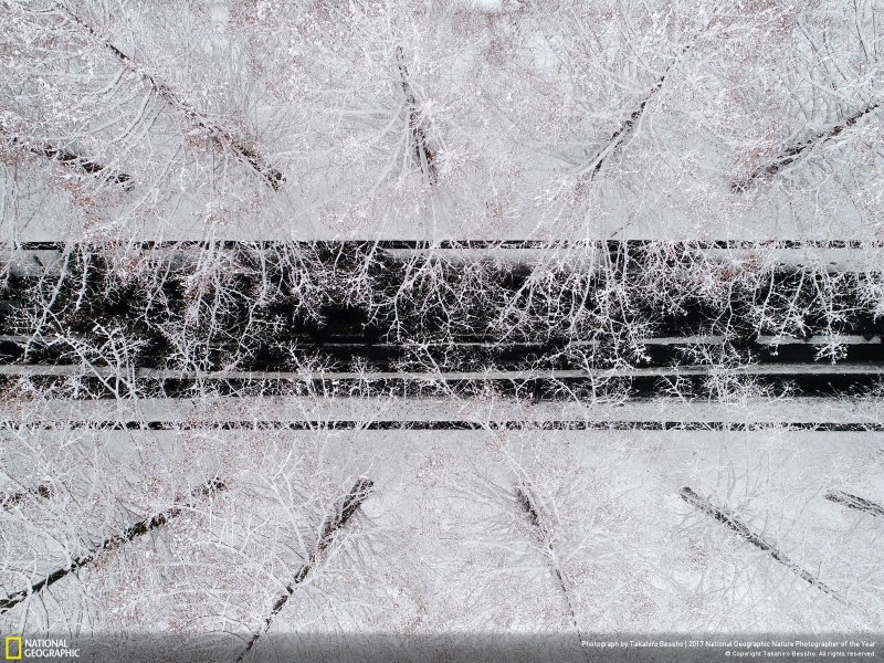 İşte yılın en iyi doğa fotoğrafları - 0