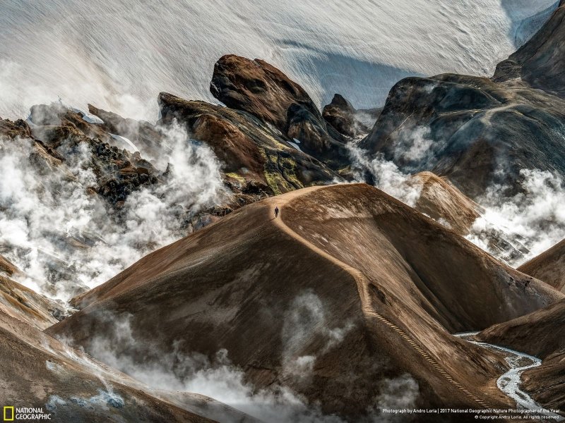 İşte yılın en iyi doğa fotoğrafları - 0