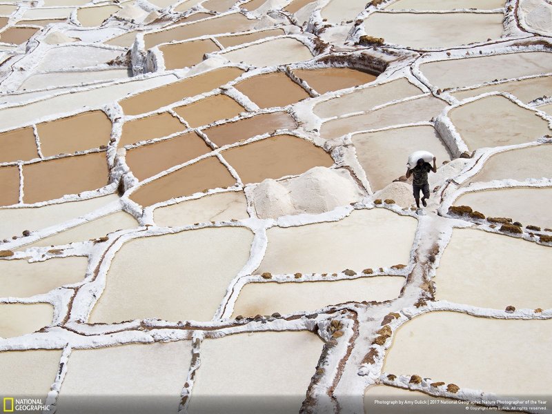 İşte yılın en iyi doğa fotoğrafları - 0