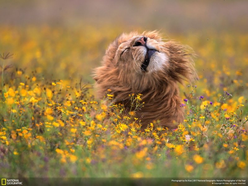 İşte yılın en iyi doğa fotoğrafları - 0