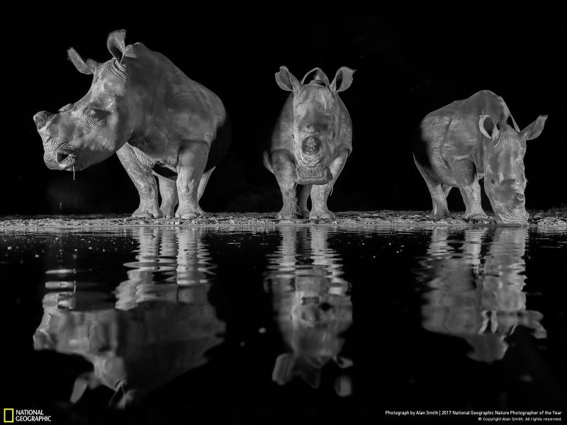 İşte yılın en iyi doğa fotoğrafları - 0