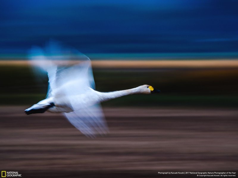 İşte yılın en iyi doğa fotoğrafları - 0