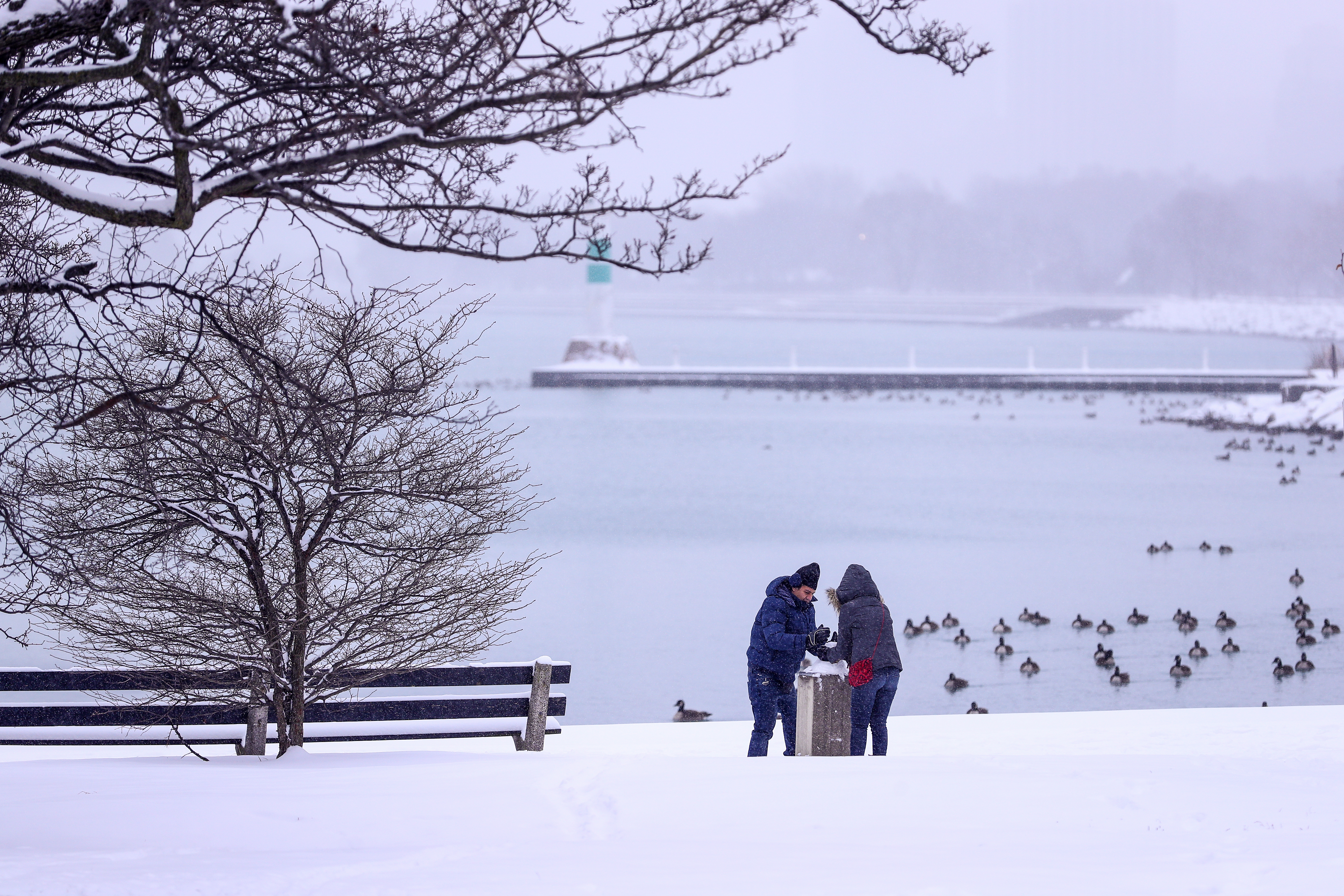 ABD'de kar yağışı - 5