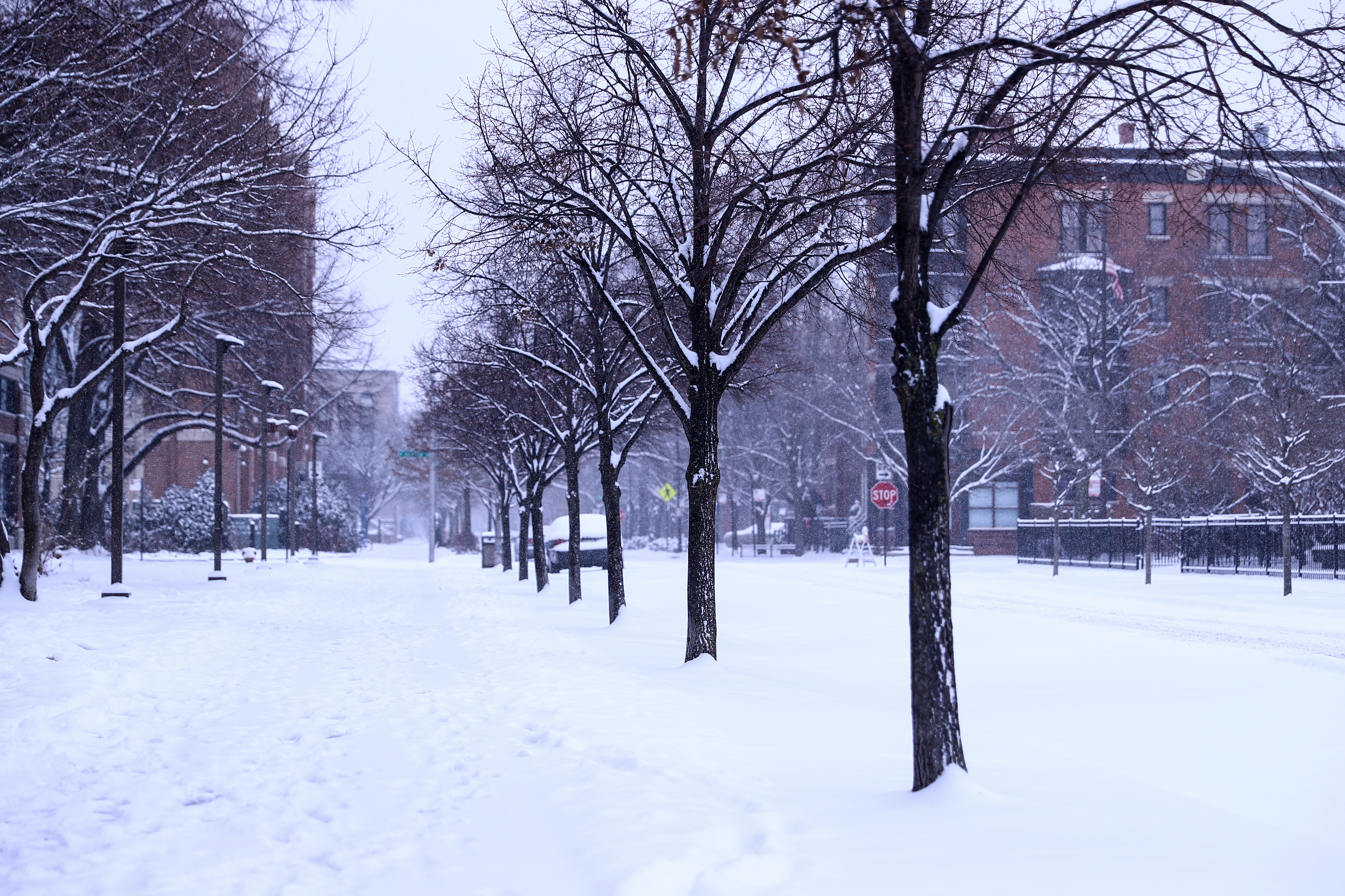 ABD'de kar yağışı - 14