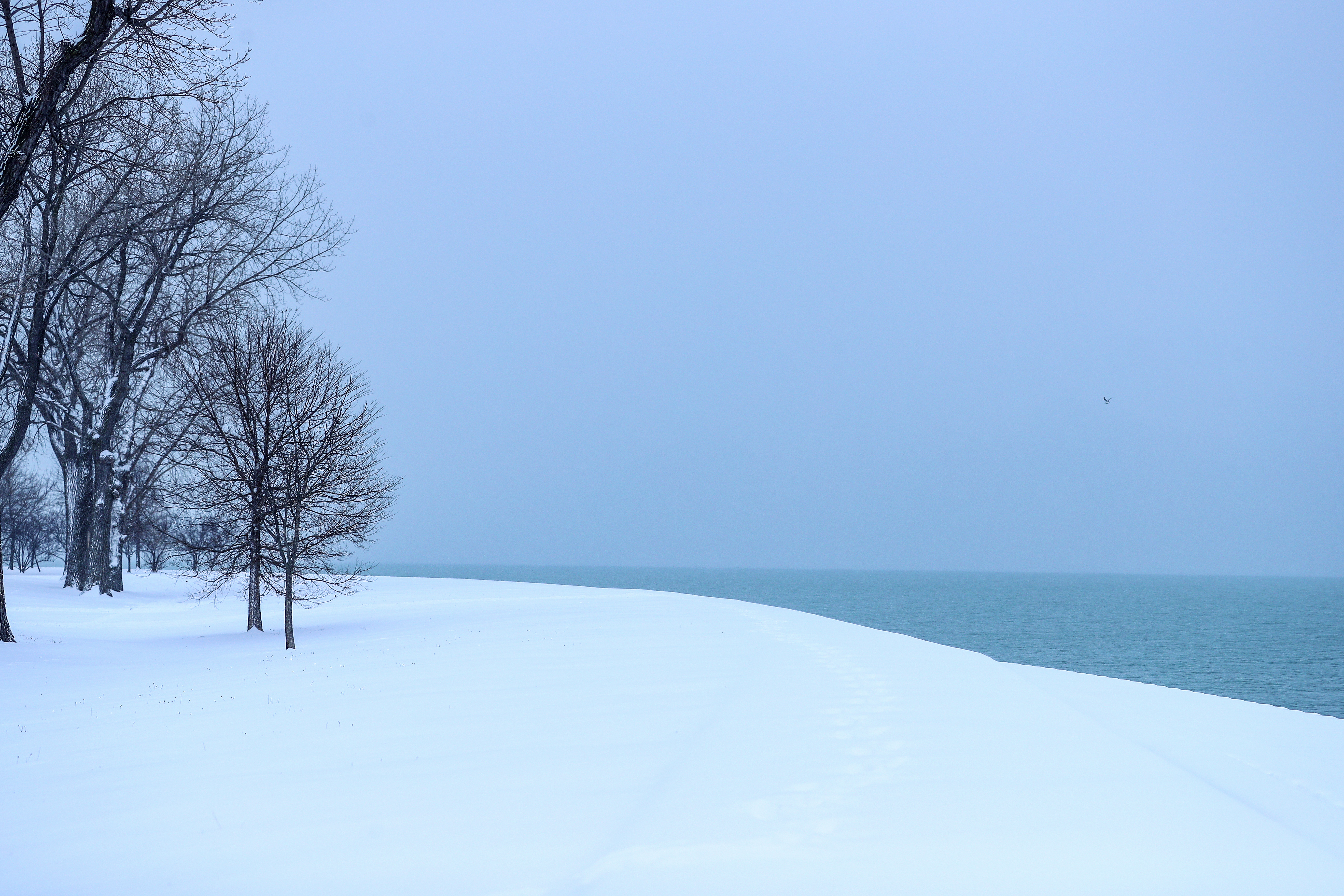 ABD'de kar yağışı - 16