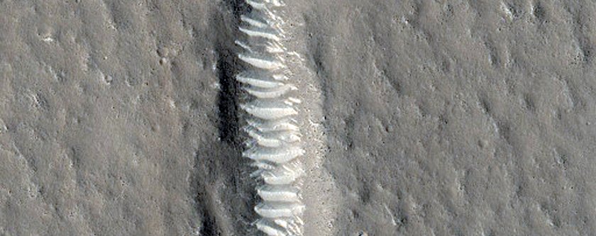 NASA'dan Mars'ta kış fotoğrafları - 1