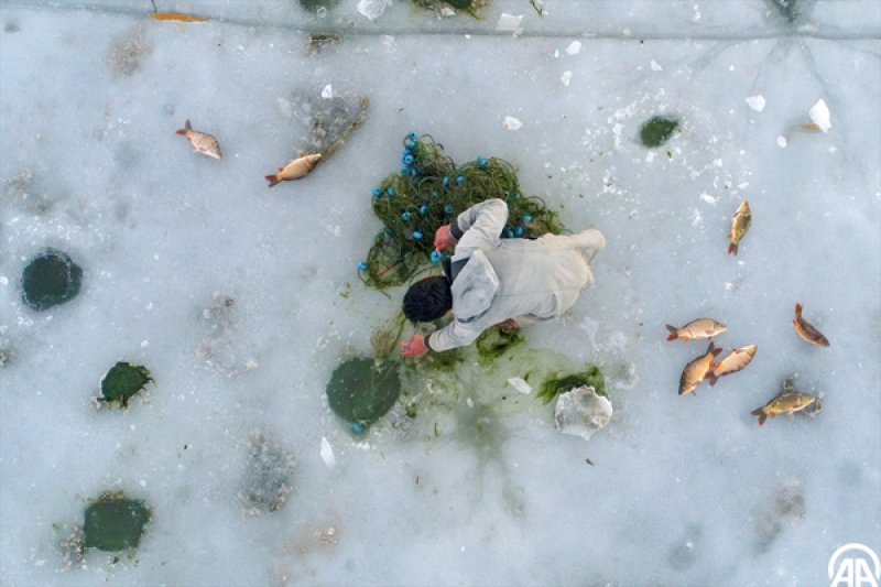 Buzun altında balık avı havadan görüntülendi - 0