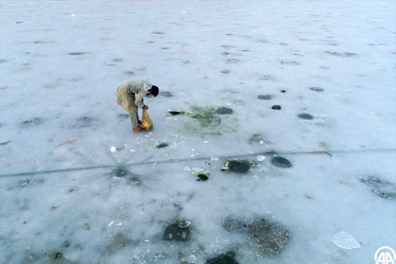 Buzun altında balık avı havadan görüntülendi - 0