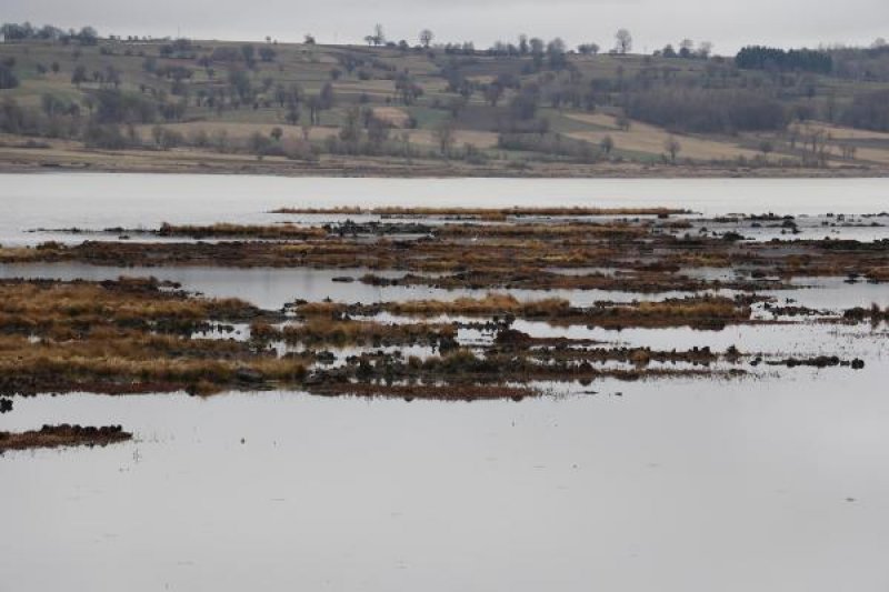 Samsun’da bulunan Ladik Gölü tehlike altında - 2