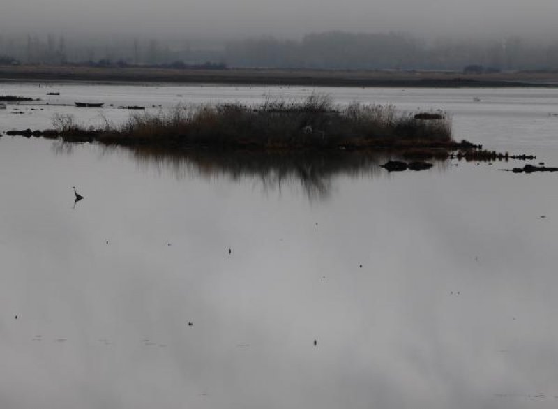 Samsun’da bulunan Ladik Gölü tehlike altında - 1
