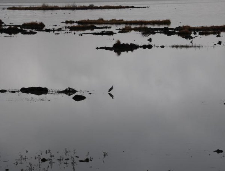 Samsun’da bulunan Ladik Gölü tehlike altında - 3