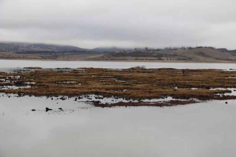 Samsun’da bulunan Ladik Gölü tehlike altında - 4