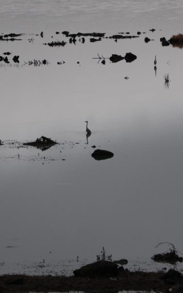 Samsun’da bulunan Ladik Gölü tehlike altında - 6