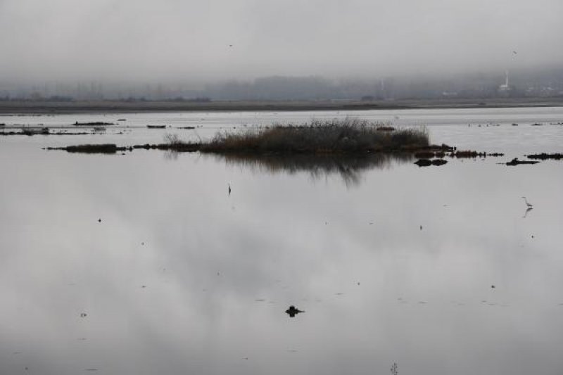 Samsun’da bulunan Ladik Gölü tehlike altında - 7