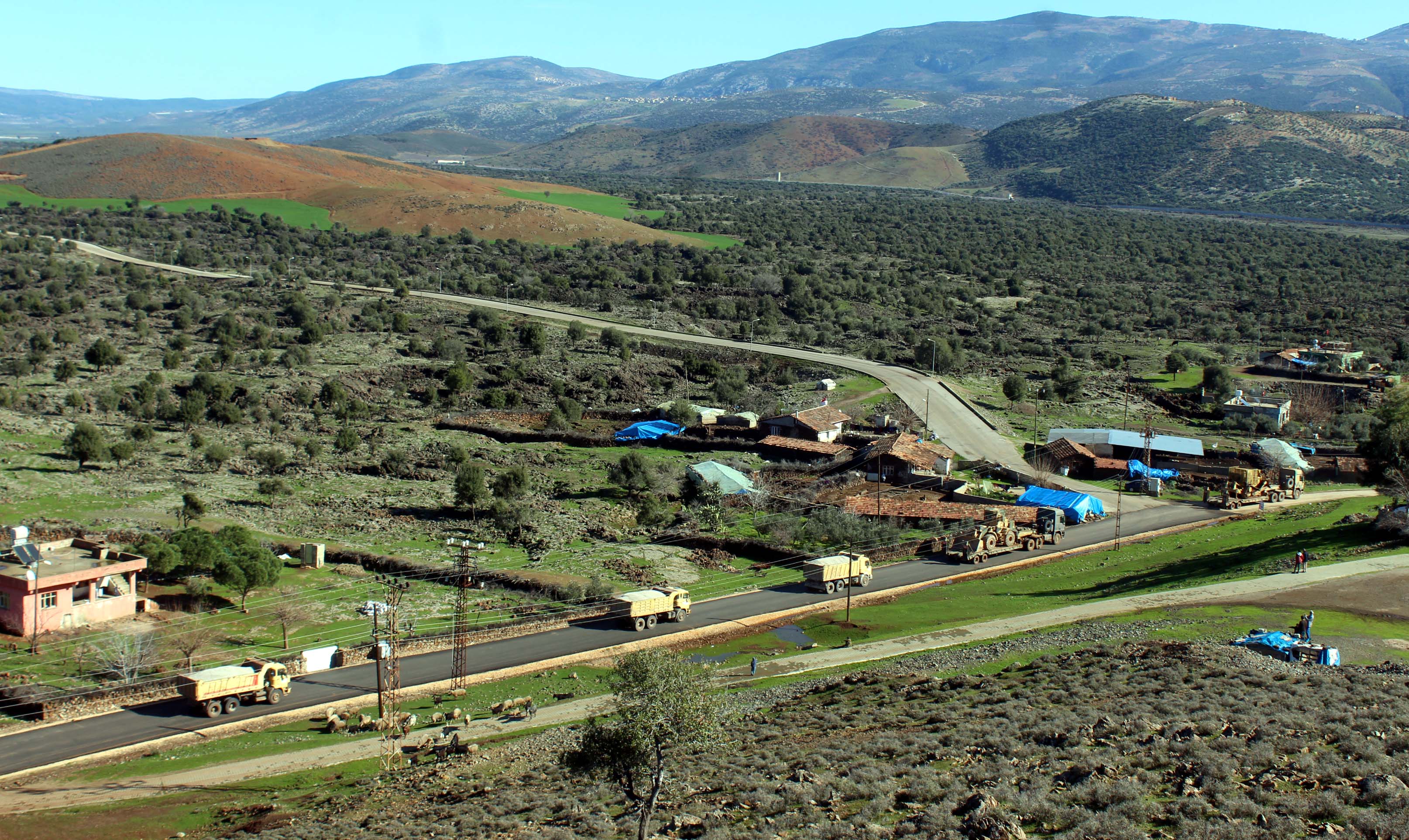 Fotoğraflarla Afrin'e 'Zeytin Dalı' - 18