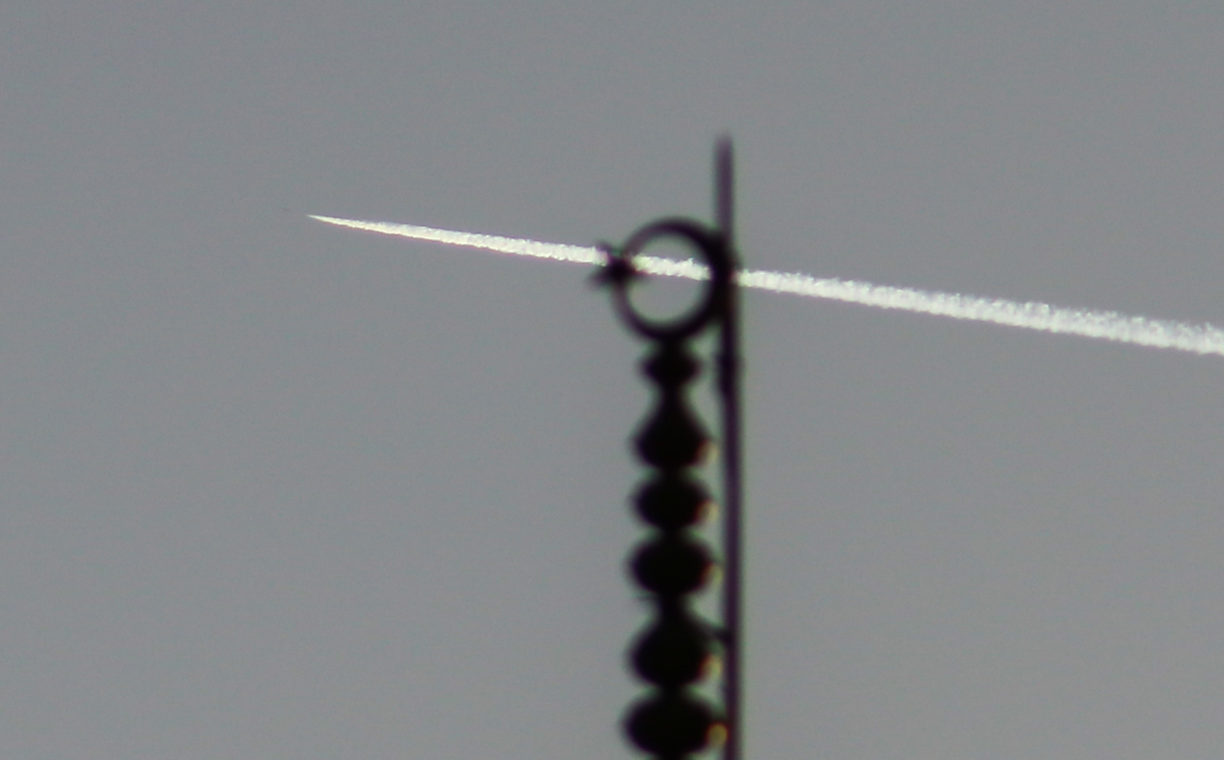 Fotoğraflarla Afrin'e 'Zeytin Dalı' - 33