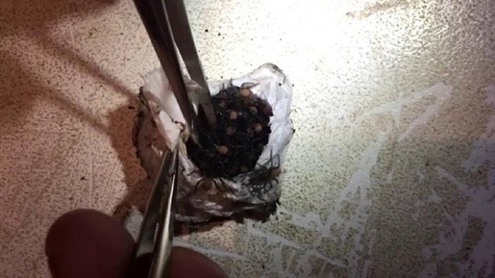 Bulduğu kesenin içindekiler şaşkına çevirdi - 1