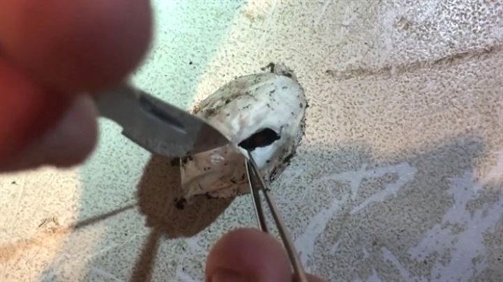 Bulduğu kesenin içindekiler şaşkına çevirdi - 2