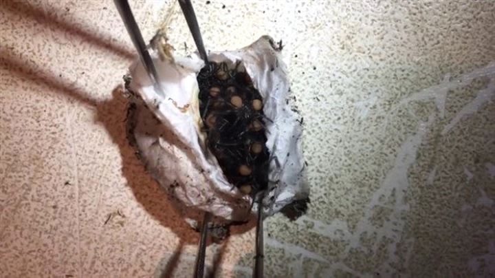 Bulduğu kesenin içindekiler şaşkına çevirdi - 3