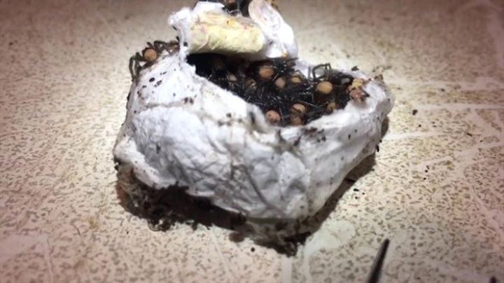 Bulduğu kesenin içindekiler şaşkına çevirdi - 5