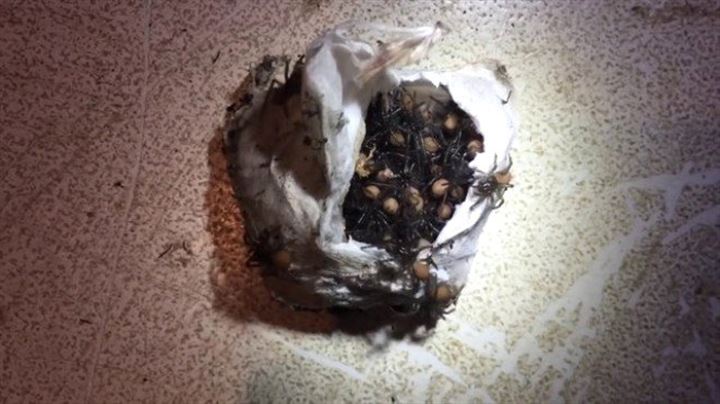 Bulduğu kesenin içindekiler şaşkına çevirdi - 7