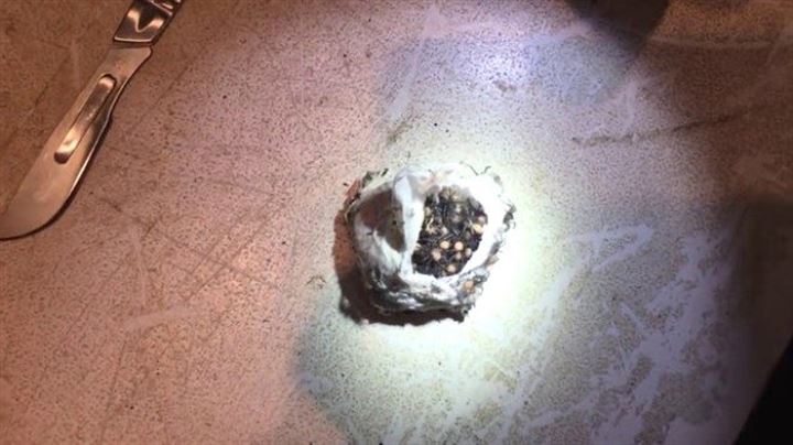 Bulduğu kesenin içindekiler şaşkına çevirdi - 9