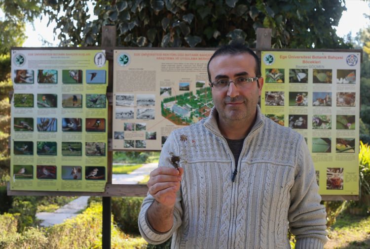 Erzurum'da yeni bir bitki türü bulundu - 5