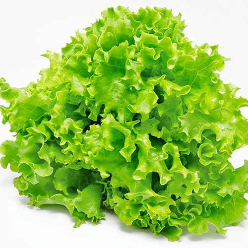 Kıvırcık uykuya dalmayı kolaylaştırıyor - 7