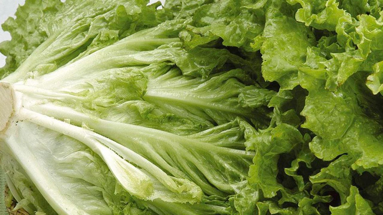 Kıvırcık uykuya dalmayı kolaylaştırıyor - 9