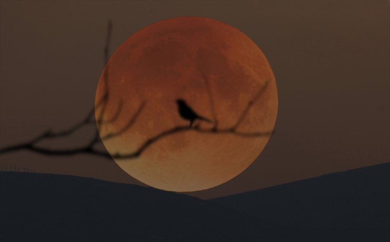 Süper Kanlı Mavi Ay'dan ilk kareler - 0